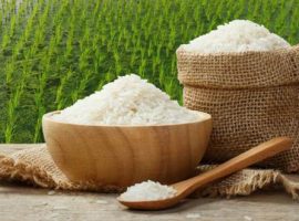 Thế nào là gạo sạch an toàn